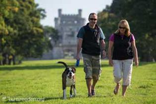 Lowther Castle photo courtesy of the Nurture Eden photo library