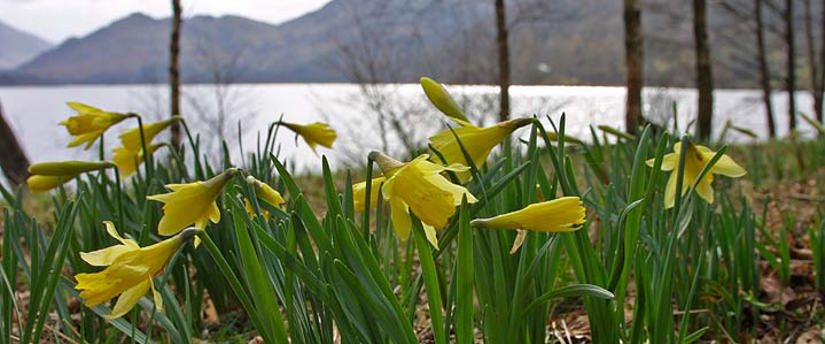 Ullswater photo courtesy of the Cumbria Photo Library